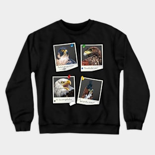 Birds of prey Crewneck Sweatshirt